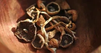 How Psilocybin May Provide Relief for Postpartum Depression