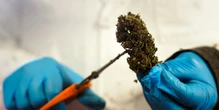 Delta-8, a legal form of THC, is sold across the country. Some states want to change that.