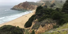 Great white shark attacks man in California
