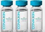 Sócio de farmacêutica depõe nesta quarta-feira sobre compra da Covaxin