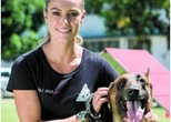 Iron, cão da major Jeiza em 'A força do Querer', morre de câncer