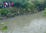 Com marcas de tiro, corpo é encontrado boiando em igarapé de Manaus