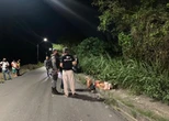 Com pés e braços amarrados, corpo é desovado em avenida de Manaus