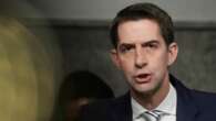 Cotton: US decision to abstain from UN cease-fire vote 'deeply offensive'