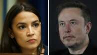 Ocasio-Cortez calls out Musk for unfounded immigration claim