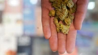 Highest cannabis use found among lower-income, less-educated in new survey
