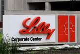 FDA delays action on Lilly Alzheimer's drug