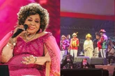 Veja momento em que Alcione cai no palco durante show