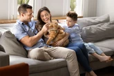 Nome para gatos carinhosos: veja 12 ideias perfeitas para se inspirar