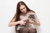 8 cuidados importantes com as unhas dos gatos