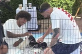 Time dos EUA usam terapia com cães para recuperação de jogadores durante a Copa do Mundo; entenda