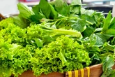 Conheça 7 benefícios das folhas verdes para a saúde