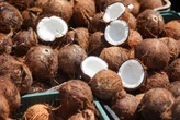 Concorrência e falta de políticas: como a Bahia deixou de ser o maior produtor coco no Brasil
