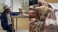 Sem dinheiro para pagar tratamento, idoso comove veterinária ao se recusar a abandonar filhote
