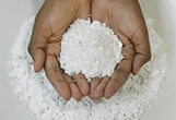 Tarifaço dos EUA afetará 245 produtos da Bahia; celulose solúvel é a maior preocupação