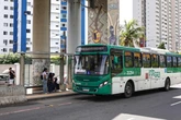 Brasil x Japão: Salvador terá reforço de ônibus e frota extra antes da partida
