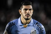 Bahia acerta com novo goleiro e empresta Marcos Felipe