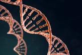 Cientistas editam DNA de embriões humanos e reacendem debate sobre os 'bebês sob medida'