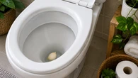 Jogue um dente de alho no vaso antes de dormir: veja para que serve e o que muda no banheiro logo pela manhã