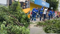 Vendaval derruba árvores e muros em Eunápolis; falta de energia afeta fornecimento de água