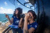 Farol da Barra vira camarote para ver baleias jubarte em Salvador; temporada começa nesta quarta