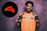 Nova espécie marinha é batizada de Vozinha em homenagem ao goleiro sensação da Copa do Mundo