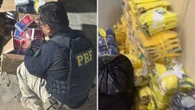 Casal é preso transportando eletrônicos e 500 camisas falsificadas da Seleção Brasileira na Bahia