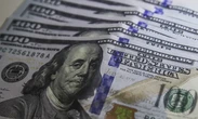 Dólar cai para R$ 5,56 com possibilidade de recuo no tarifaço sobre alimentos não cultivados nos EUA