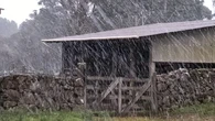 Quase 40 cidades brasileiras registram temperaturas abaixo de 5 graus; saiba quais