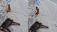 Idoso de 87 anos é detido por enforcar cachorro no quintal de casa