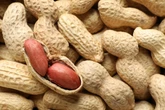 Barato e fácil de achar: alimento simples reduz colesterol e pode superar os ovos em proteína
