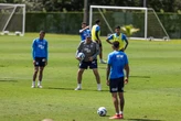 Bahia está pronto para encarar o Bragantino; veja a provável escalação