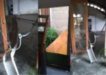 Parque Pedra de Xangô, em Salvador, é alvo de invasão e furto