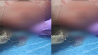 Pitbulls do tráfico que atacam PMs, caçada à ‘Diaba Loira’ e execução na Liberdade