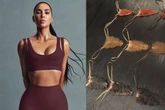 Kim Kardashian lança modelo de calcinha que imita pelo pubianos por R$ 190