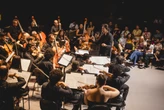 Osba realiza concerto gratuito no próximo domingo (25); saiba mais