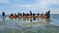 Mulheres do mar de Jeju: a tradição das Haenyeo chega ao Brasil em exposição sobre fôlego, cuidado e coletividade