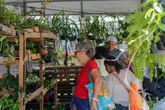 Feira da Primavera leva mais de 400 artesãos ao Largo do Campo Grande