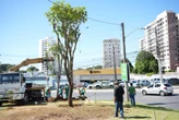 Salvador terá feira agroecológica, microfloresta e ações ambientais em vários bairros