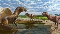 Pesquisadores descobrem por que os Tiranossauros Rex, maiores predadores da Terra, tinham bracinhos curtos e eram tão letais