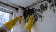 Adeus, mofo: mistura simples ajuda a remover manchas escuras da parede