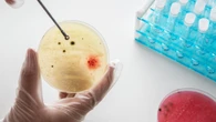 Uma nova forma de vida? Cientistas criam embriões completos sem espermatozoides nem óvulos