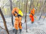 Bombeiros apagam incêndios florestais em Barreiras e São Desidério