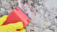 O mofo dentro da sua casa pode ser o inimigo invisível que está deixando você doente