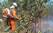 Bombeiros combatem focos em cinco cidades baianas há mais de 24h