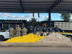 Motorista pula de caminhão em movimento e abandona quase meia tonelada de cocaína na Bahia