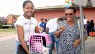 Campanha de vacinação contra a raiva entra na última semana; veja onde encontrar imunizante em Salvador