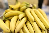 Previne até pedra no rim: novos benefícios da banana são descobertos e surpreendem