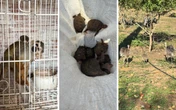 Polícia Federal apreende animais silvestres mantidos ilegalmente em centro no interior da Bahia