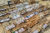 Mais de 90 aves silvestres são resgatadas de cativeiros, e multas chegam a R$ 400 mil